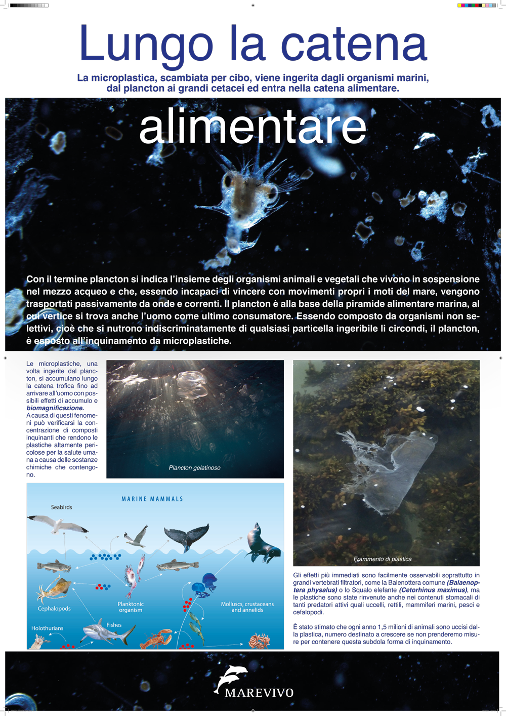 6-MOSTRA_MAREMOSTRO