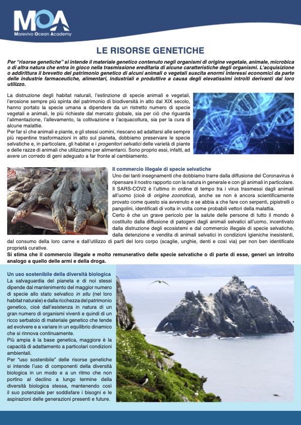LE_RISORSE_GENETICHE