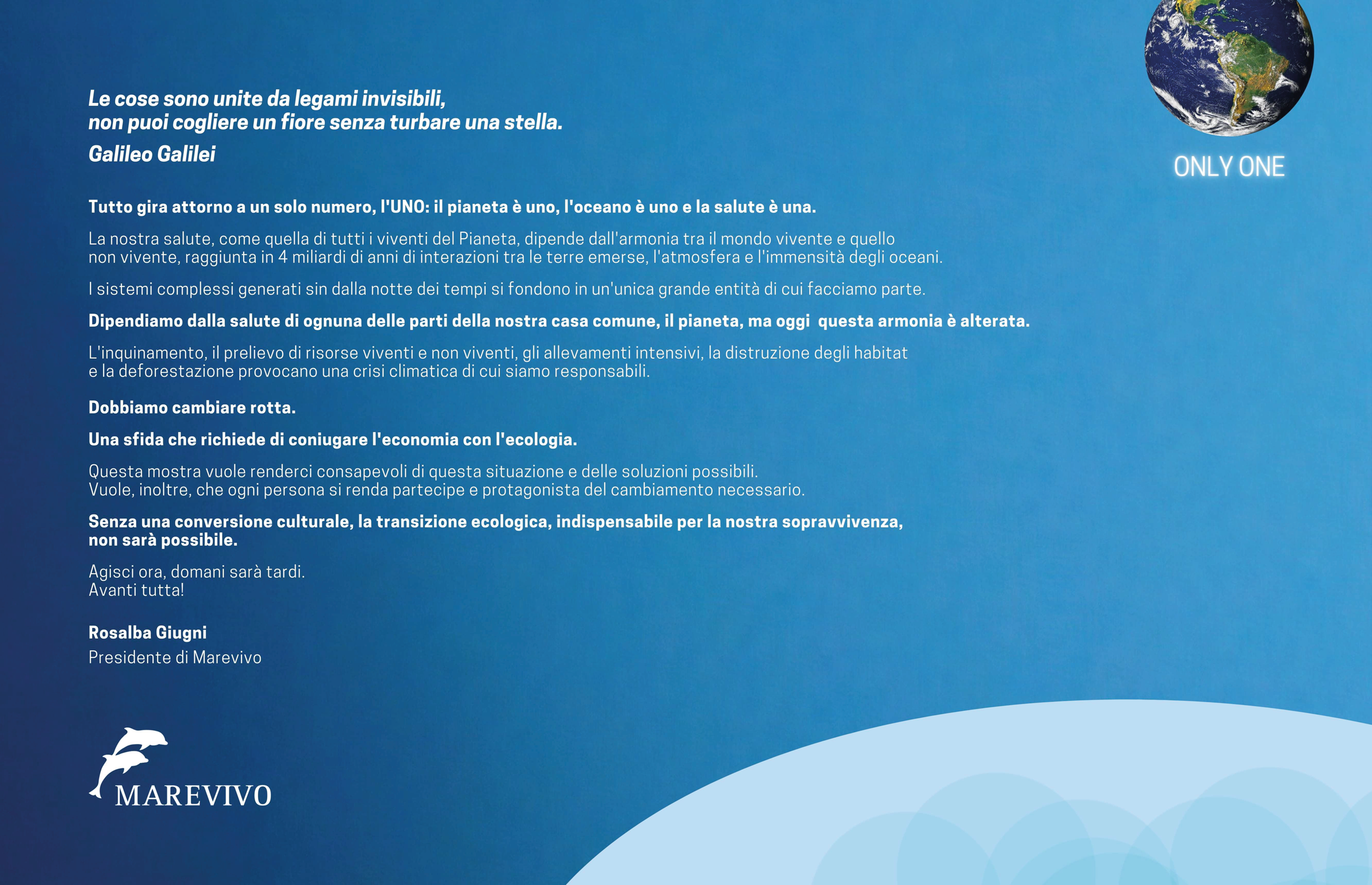___ONLY-ONE-ITA_bassa-risoluzione-(trascinato)-2