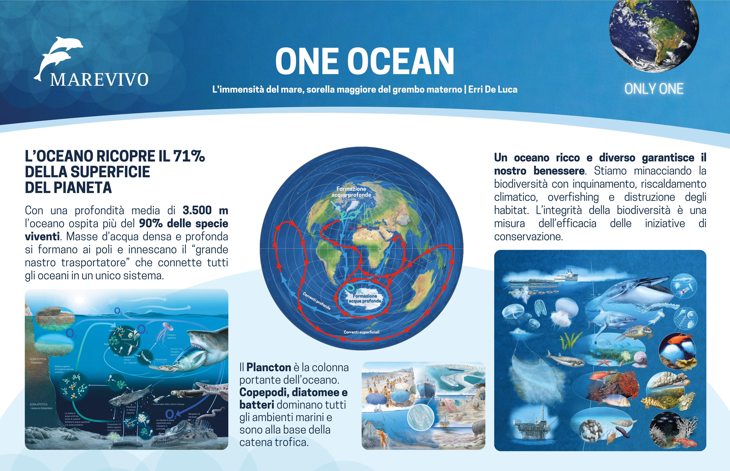 ___ONLY-ONE-ITA_bassa-risoluzione-(trascinato)-4