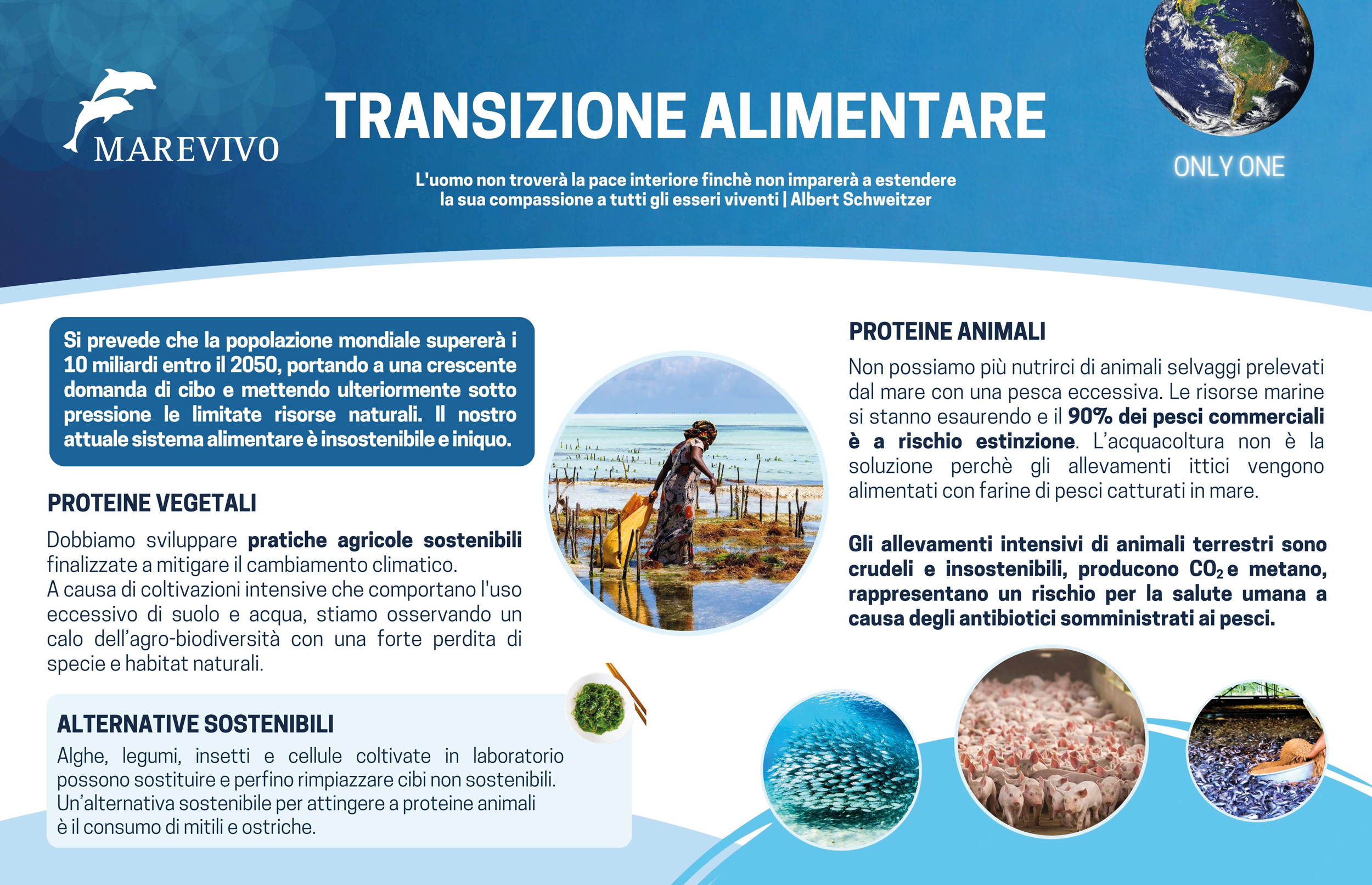 ___ONLY-ONE-ITA_bassa-risoluzione-(trascinato)-7